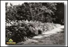 une bordure